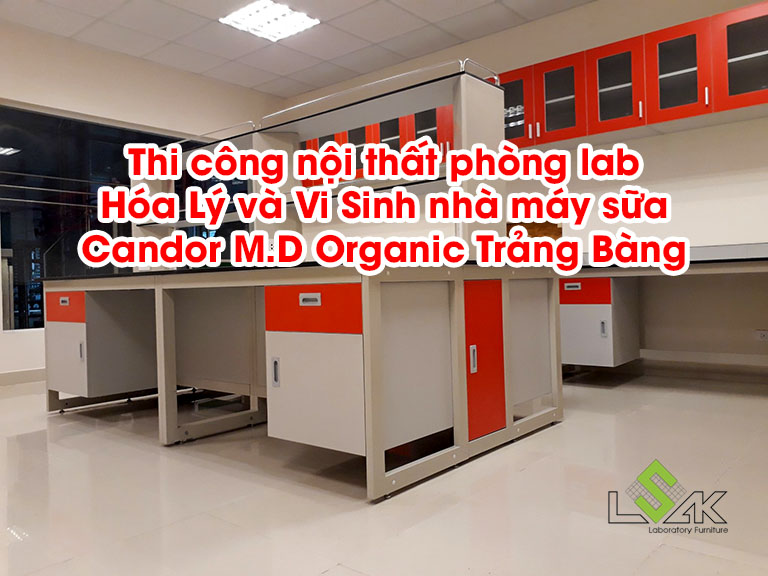 Thi công nội thất phòng lab Hóa Lý và Vi Sinh nhà máy sữa Candor M.D Organic Trảng Bàng