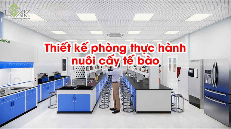 Thiết kế phòng thực hành nuôi cấy tế bào
