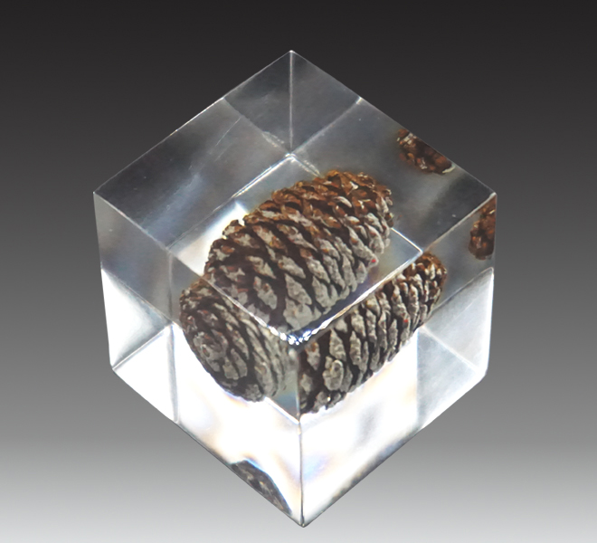 Acrylic resin là gì