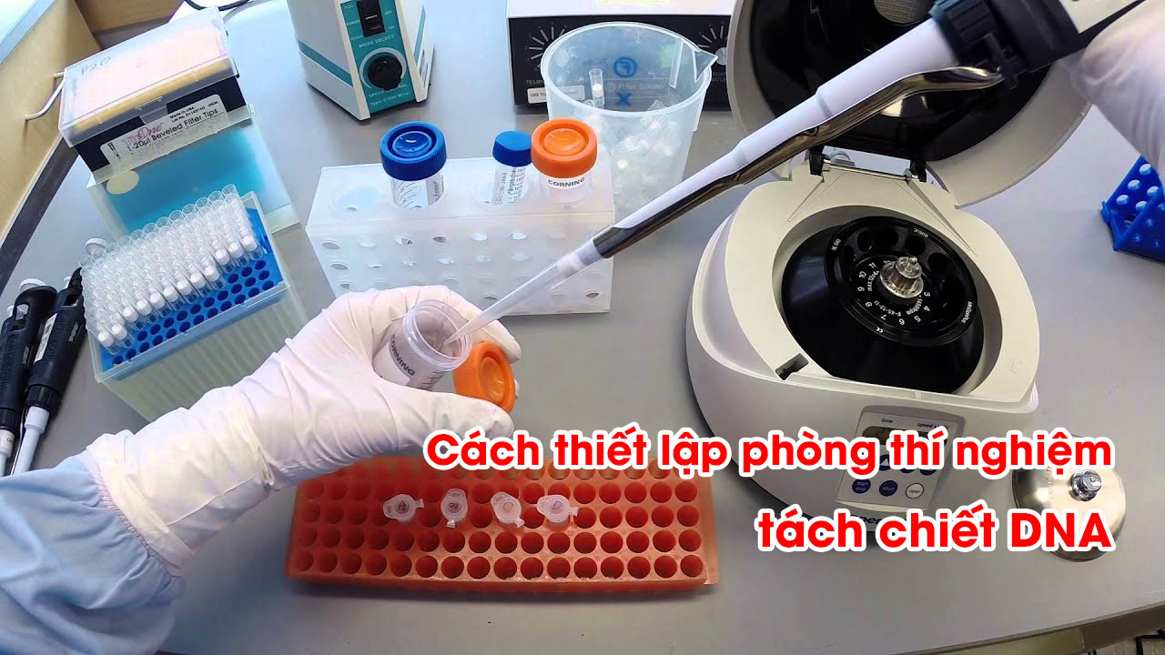 Cách thiết lập phòng thí nghiệm tách chiết DNA