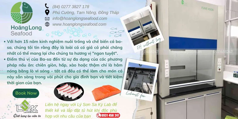lap-dat-tu-hut-khi-doc-cho-thuy-san-hoang-long-seafood-1