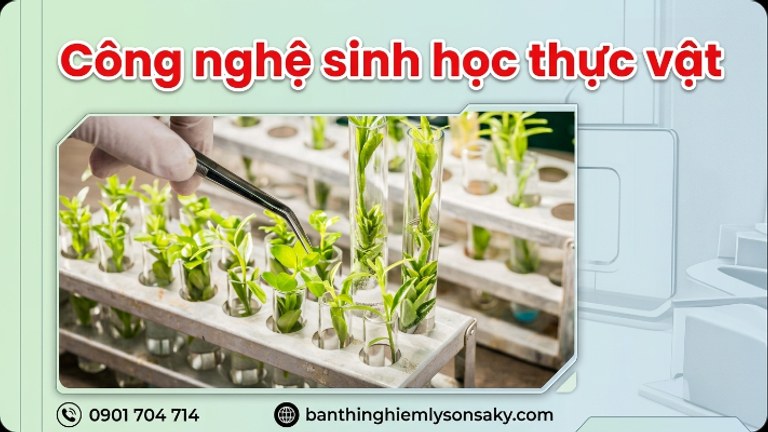 cong nghe sinh hoc thuc vat