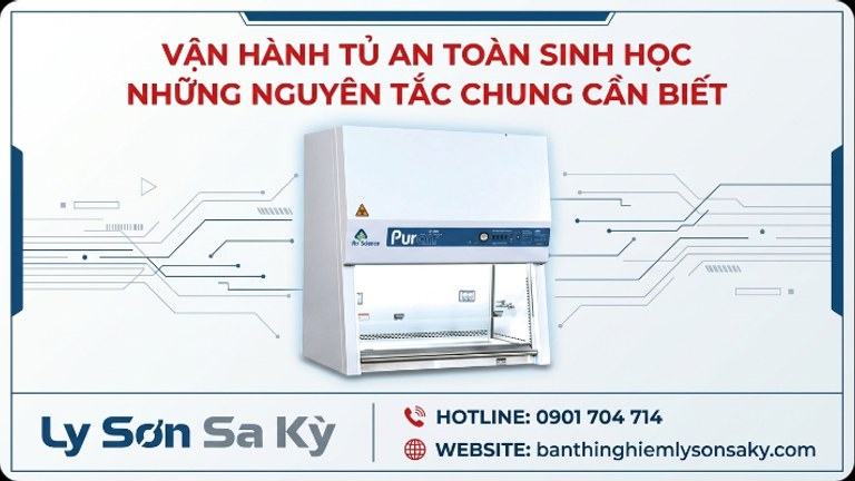 van hanh tu an toan sinh hoc nhung nguyen tac chung can biet